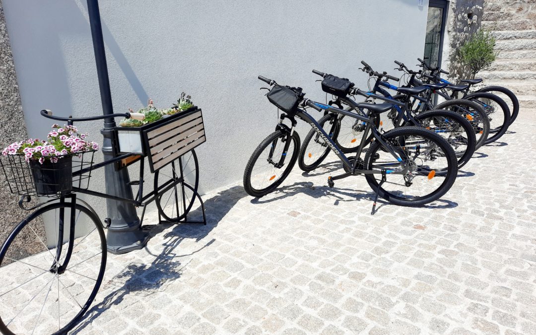 Location de vélos – Logements Lodges Minho – Arcos de Valdevez – Ponte da Barca – Portugal